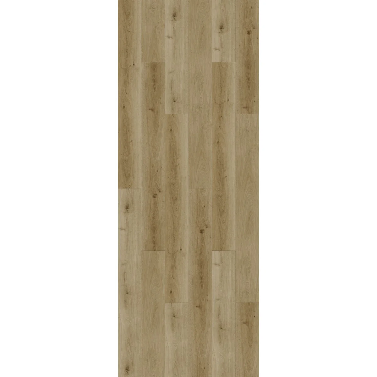 Miniaturebillede 1